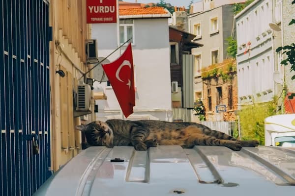 Sanctions on Turkey